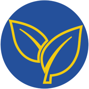 Blatt mit Hintergrund WEB